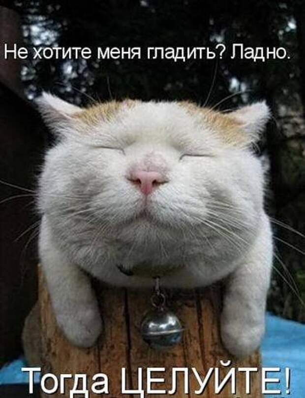 Продолжаем подготовку к Новому Году.