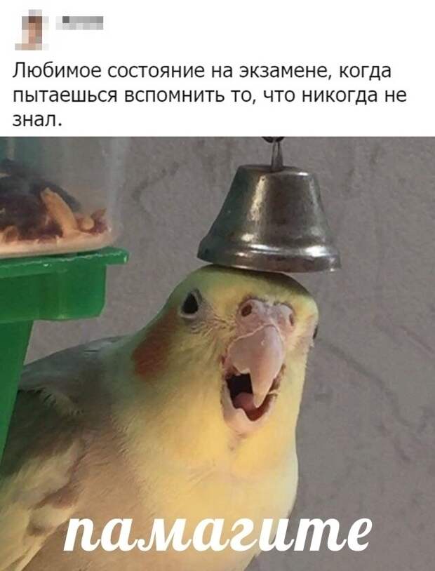 Подборка картинок. Вечерний выпуск (30 фото)