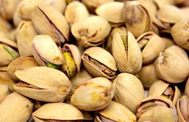 Как правильно прорастить фисташки в домашних условиях: пошаговая инструкция