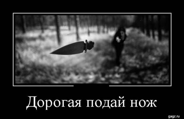 demotivators_funny_pics_gagz_ru_001169