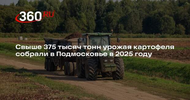 Свыше 375 тысяч тонн урожая картофеля собрали в Подмосковье в 2025 году