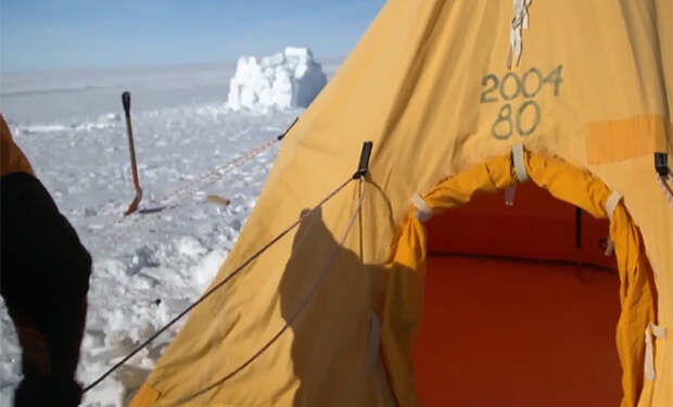 Источник фото: кадр видео YouTube-канала National Geographic