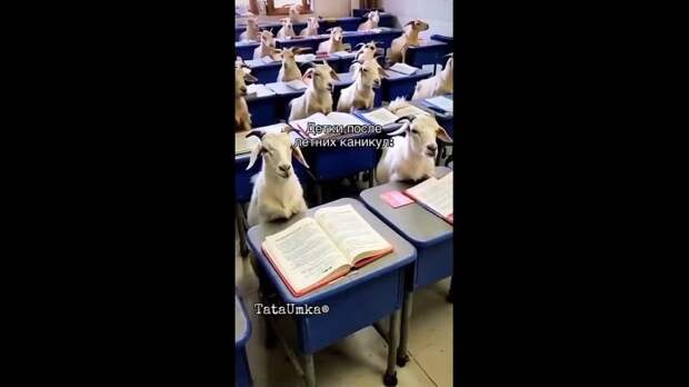 Video: Клип @donetskdnr_vk