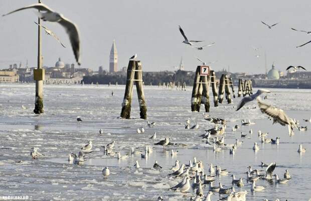 467751 Венецианские каналы впервые за 80 лет сковало льдом