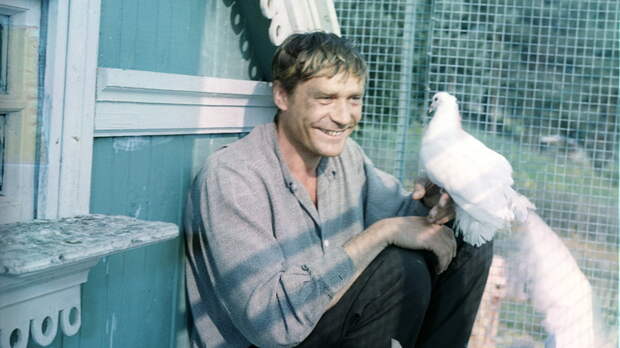 Актёр Михайлов назвал сценарий одним из феноменов фильма «Любовь и голуби»