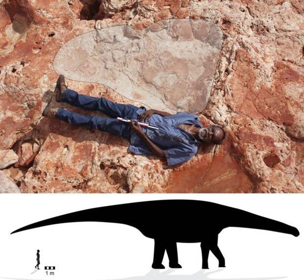 В Австралии нашли свой "Парк Юрского периода" австралия, динозавр