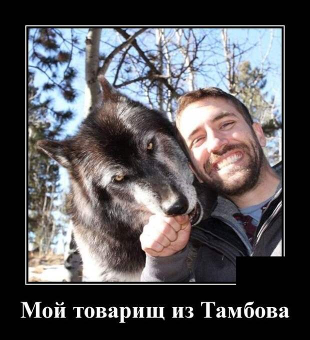 Демотиваторы 7 мая 2021