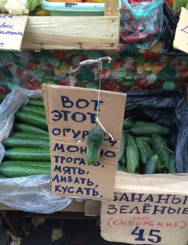 Приколы и маразмы на базаре (15 фото)