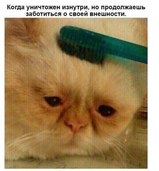 Приколюхи в стиле - "Когда..."
