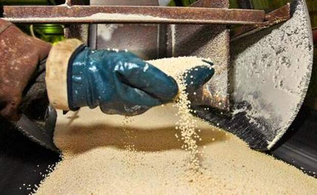 Западу предрекли мировой голод из-за «оружия Путина»