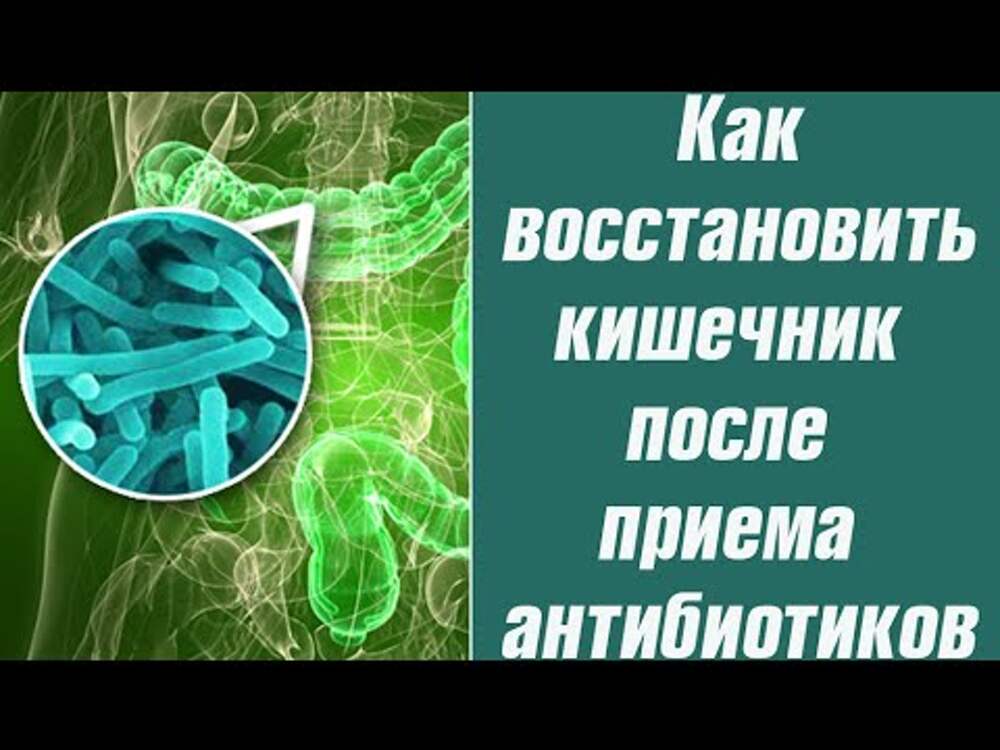 Живот после антибиотиков. Для кишечника после антибиотиков. Восстановление после приема антибиотиков. Восстановление кишечника. Очищение кишечника после приема антибиотиков.