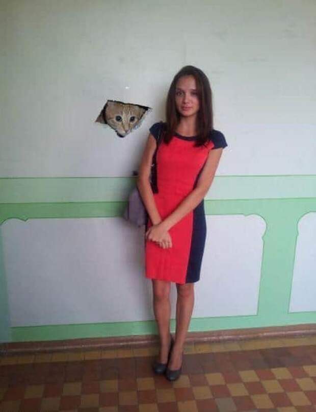 Когда за дело берутся