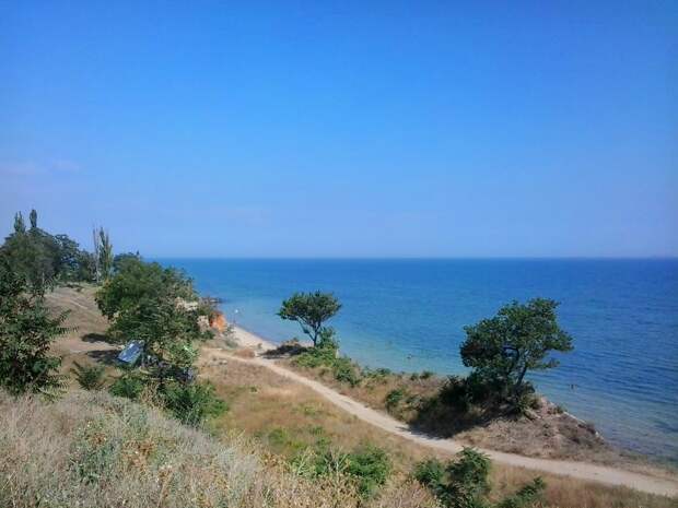 Вот море,   в котором  любят купаться МИШКИ!