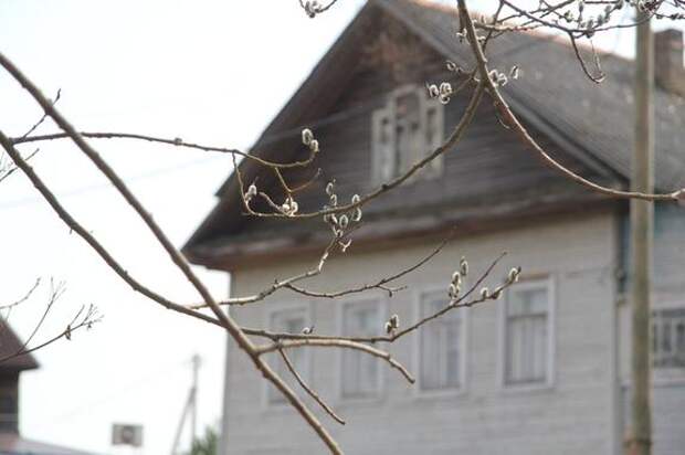 Жителям поселка в Ленобласти перестанут выставлять двойные квитанции за ЖКУ