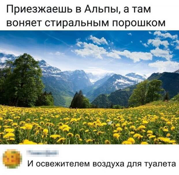 Скрины из социальных сетей