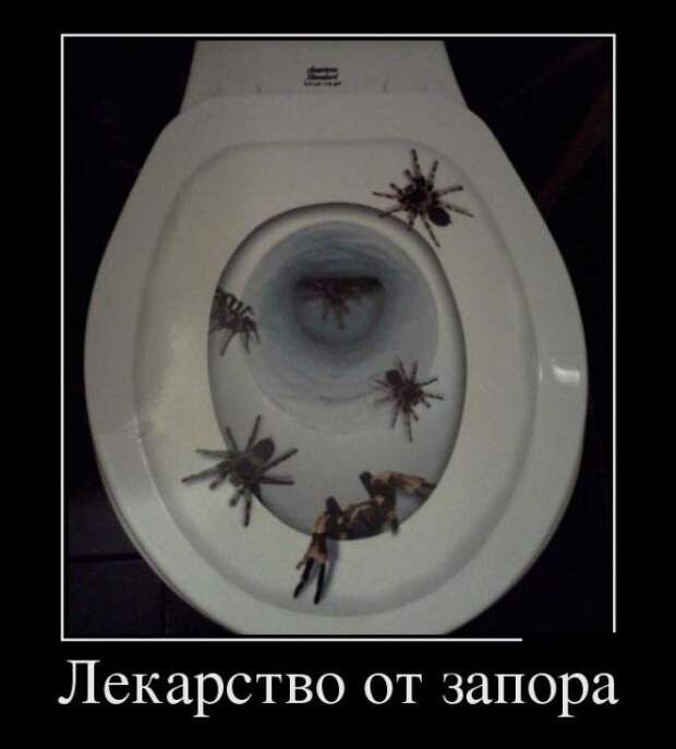 Подборка классных демотиваторов № 111