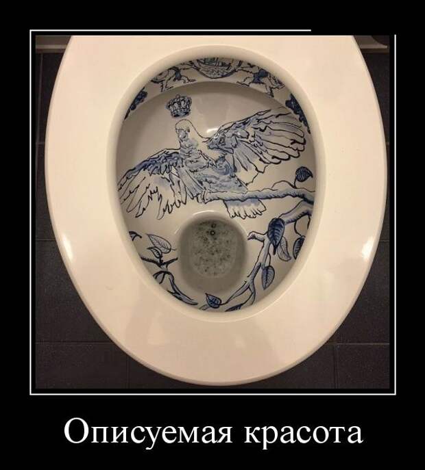Демотиваторы (30 фото)