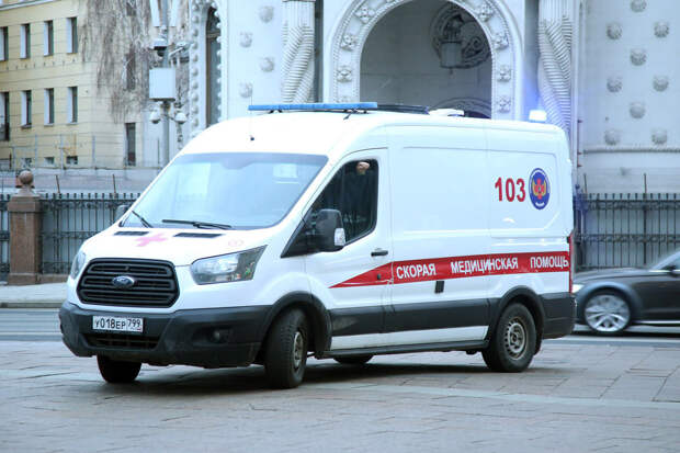 Впавшую в кому в Египте заслуженного учителя доставили в Татарстан