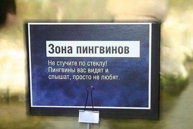 Паранормальных пикч