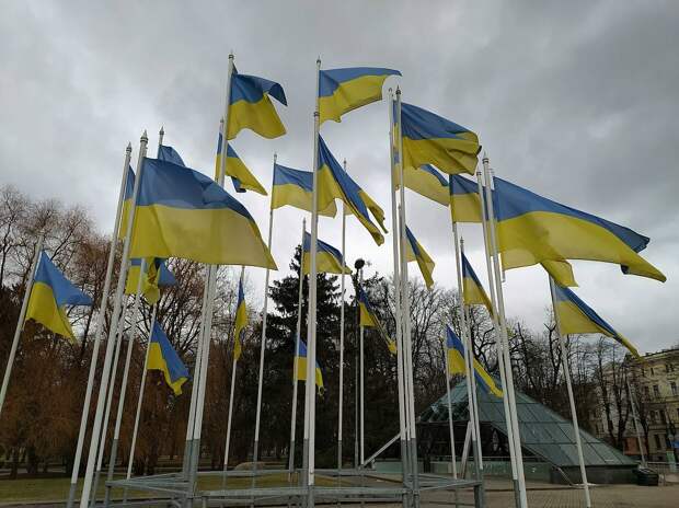 В Европе раскритиковали шокирующую идею украинской Рады