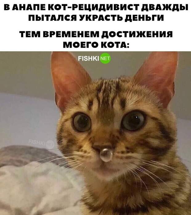 Да что вы вообще знаете о зависти? Да что вы вообще знаете о зависти?