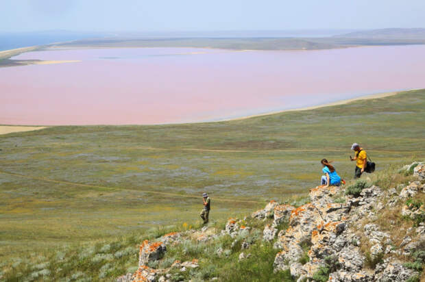 Природа заштопала раны: как Опукский заповедник возрождается на глазах
