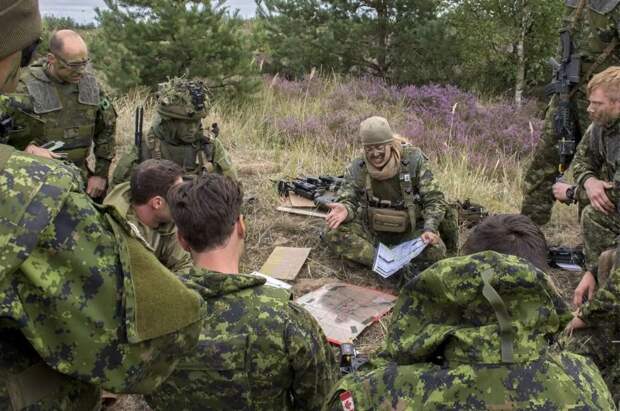 В случае вторжения США Канада перейдёт к тактике партизанской войны