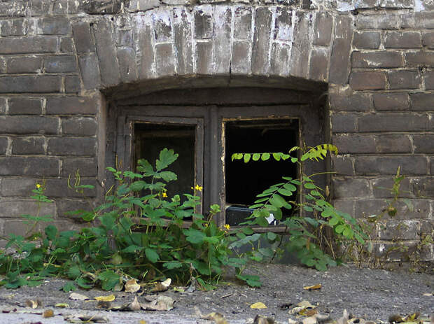 Почему во многих старых домах окна торчат из-под земли