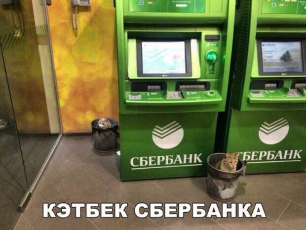 Новые фотомемы на Бугаге (23 шт)
