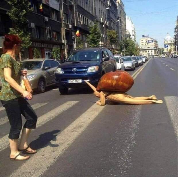 Подборка прикольных картинок