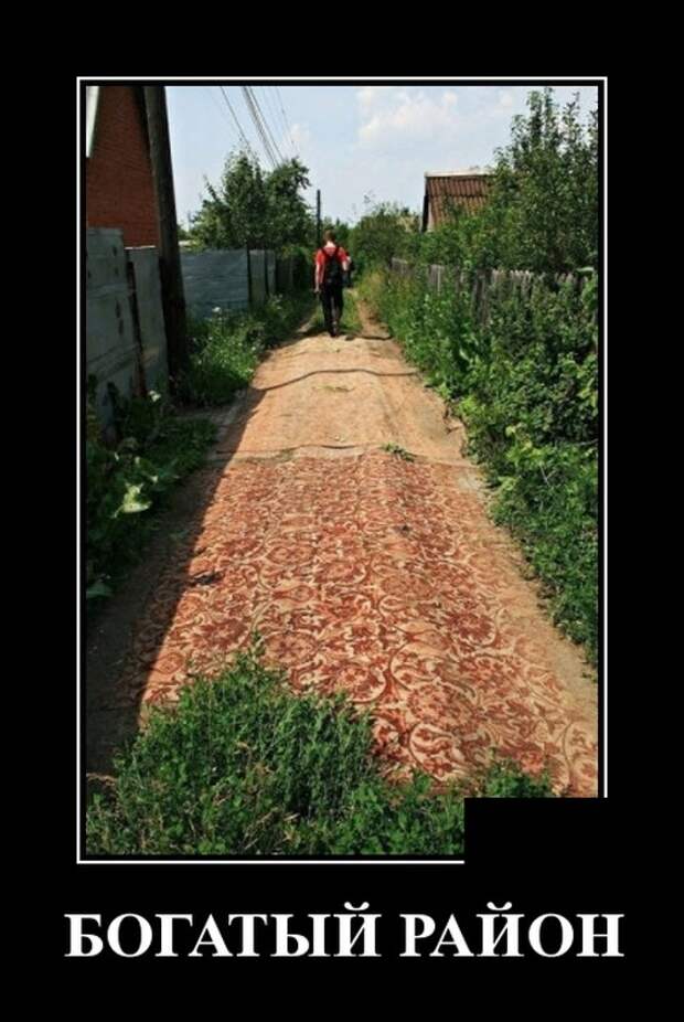 Демотиваторы (30 фото)