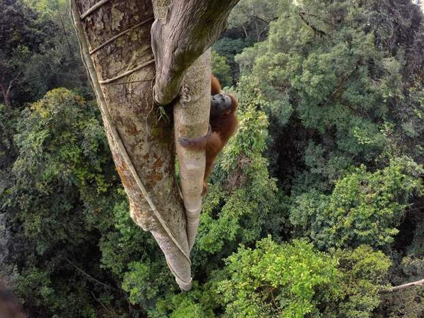 Журнал National Geographic опубликовал фотографии лауреатов премии "Лучшая фотография года - 2016" national geographic, природа, путешествия, фотография