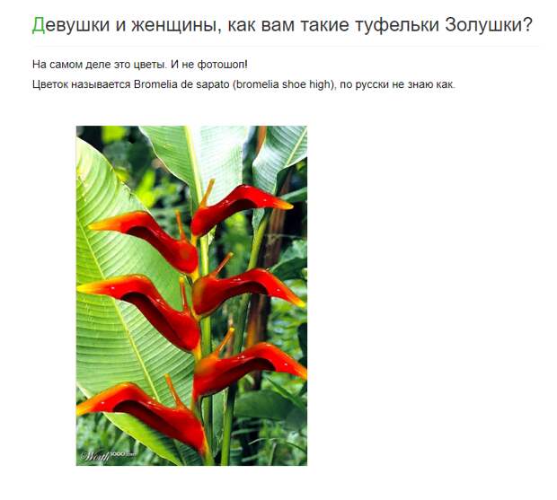 Обманывать нехорошо, но в интернете это норма