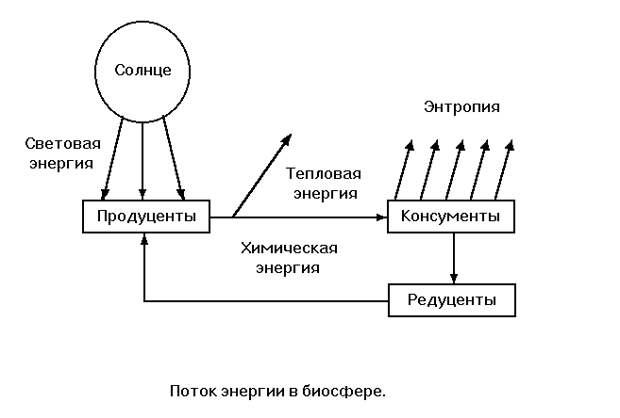 Блок схема эволюция представлений об энтропии