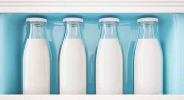 Как хранить молоко и молочные продукты