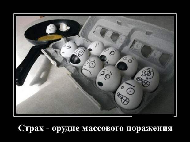 Демотиваторы (30 фото) Демотиваторы (30 фото)