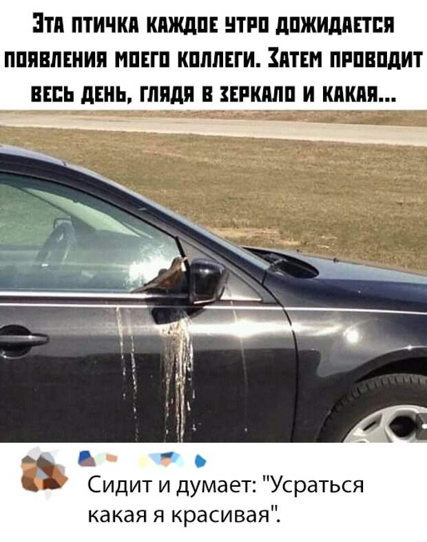 www.vsyako.net