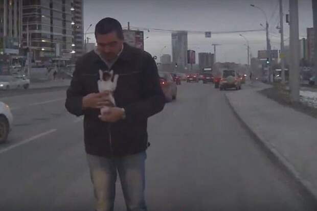 Стоп-кадр с видеорегистратора: момент спасения малыша на Ипподромской магистрали. Фото: YouTube