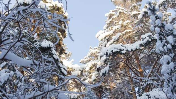 «Снегом нас не завалит»: какие осадки ожидают Башкирию в конце осени