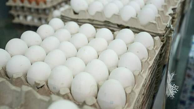 Антимонопольная служба запретила повышать цены на яйца к Пасхе