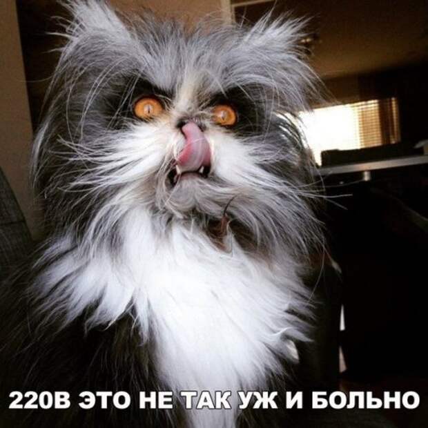 Новые фотомемы на Бугаге (24 шт)