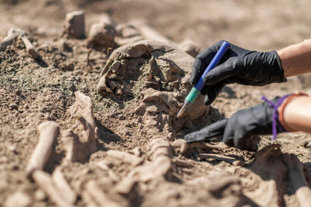 LRT: в Литве раскопали захоронение с останками 26 советских солдат