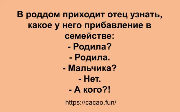 Яркая подборка смешных анекдотов