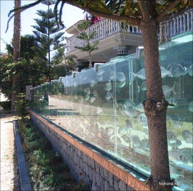 Забор - аквариум (4 фото)