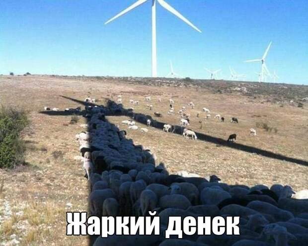 Когда наступила настоящая жара