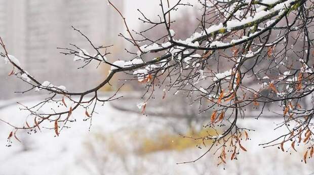 Зимний фронт: холода установились от Москвы до Кубани