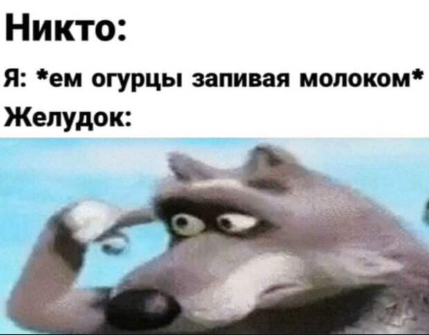 Главные мемы февраля 2020