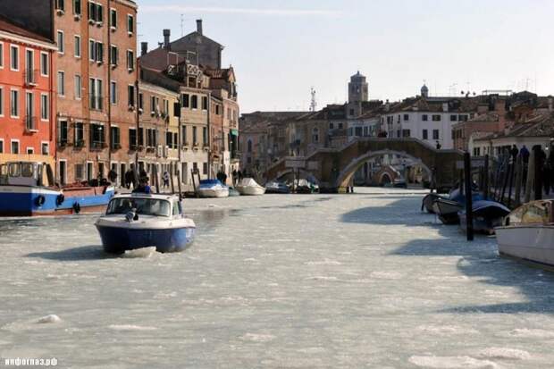 467749 800x533 Венецианские каналы впервые за 80 лет сковало льдом