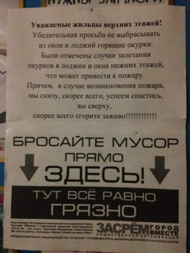 Картинки для улыбнуться Картинки для улыбнуться
