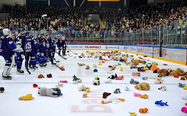 Хоккейный мишкопад: в Рязани болельщики соберут мягкие игрушки для больниц